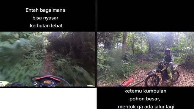 Detail Gambar Hutan Angker Nomer 44