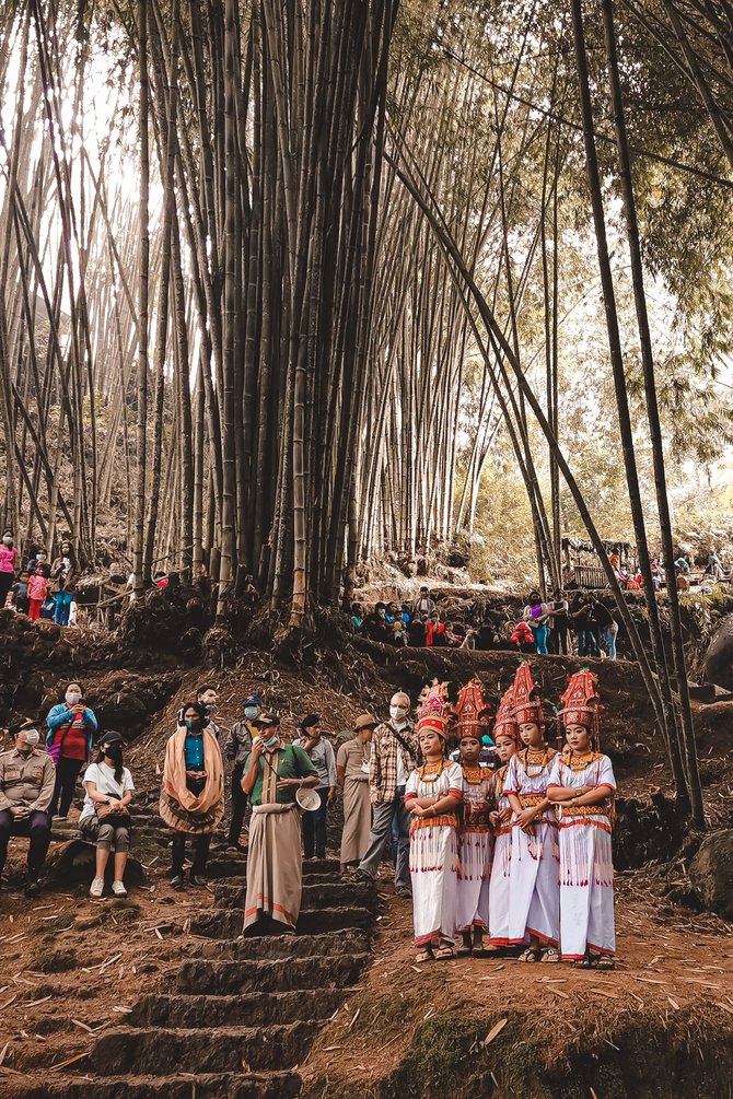 Detail Gambar Hutan Bambu Nomer 34