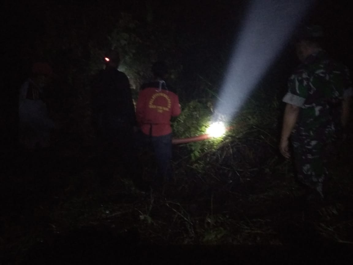 Detail Gambar Hutan Di Malam Hari Nomer 25