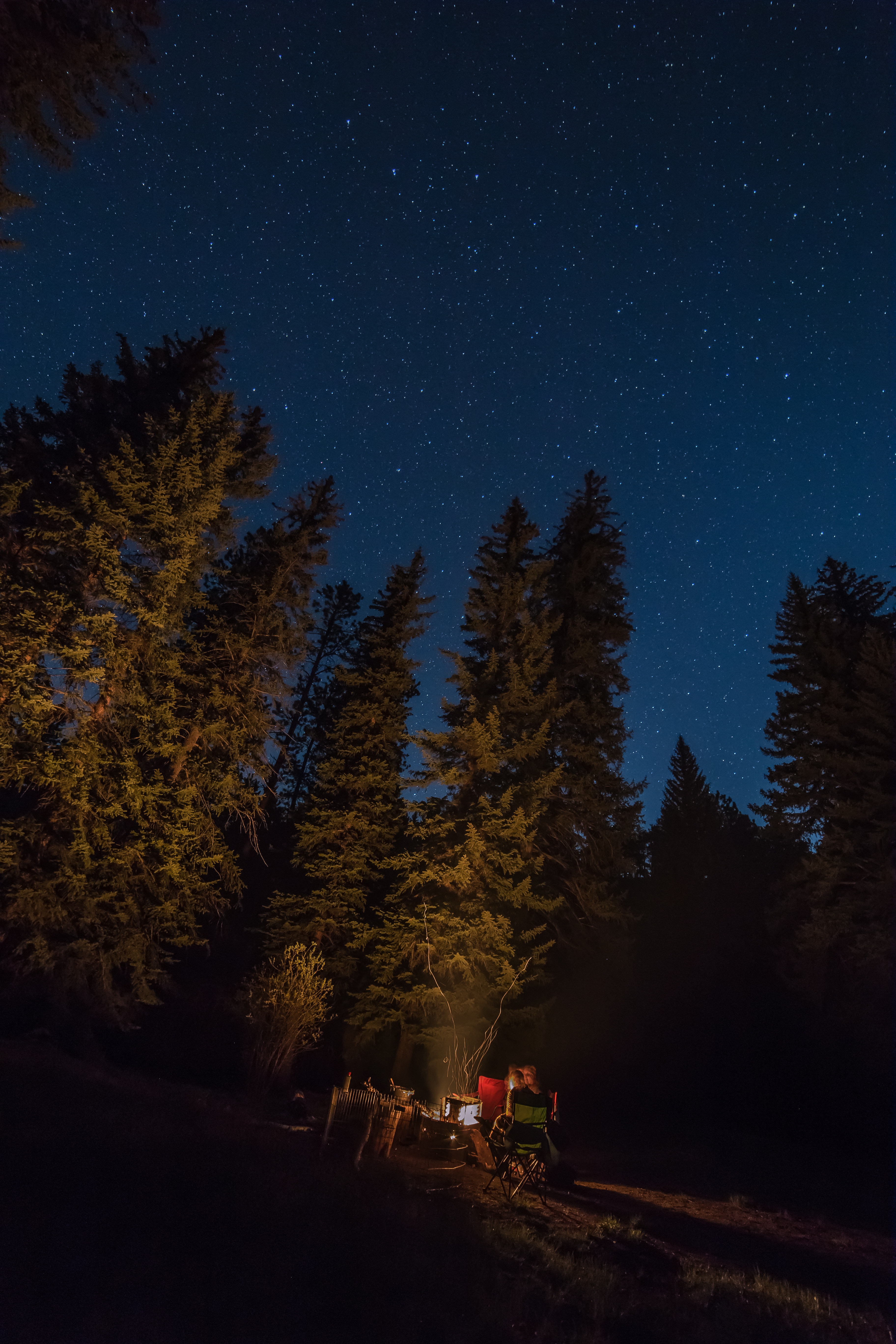 Detail Gambar Hutan Di Malam Hari Nomer 27