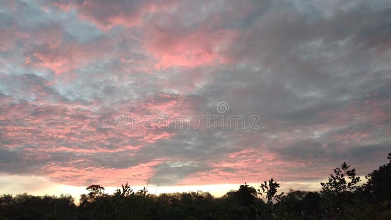 Detail Gambar Hutan Di Senja Hari Nomer 40