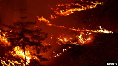 Detail Gambar Hutan Kebakaran Nomer 27
