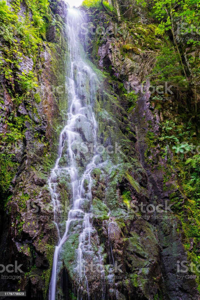 Detail Gambar Hutan Liar Gambar Air Terjun Nomer 2