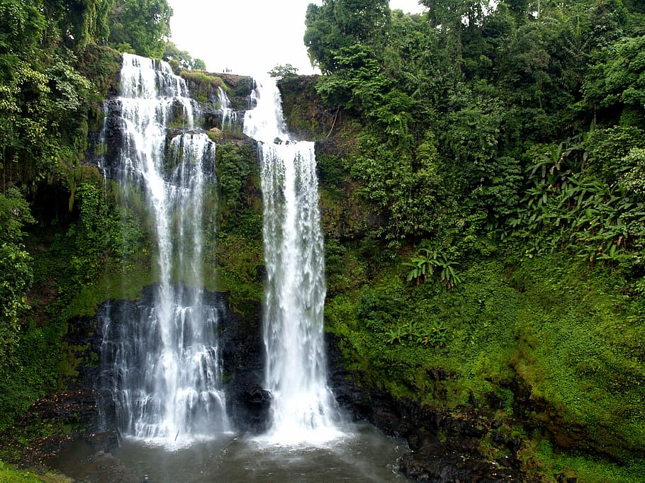 Detail Gambar Hutan Liar Gambar Air Terjun Nomer 21