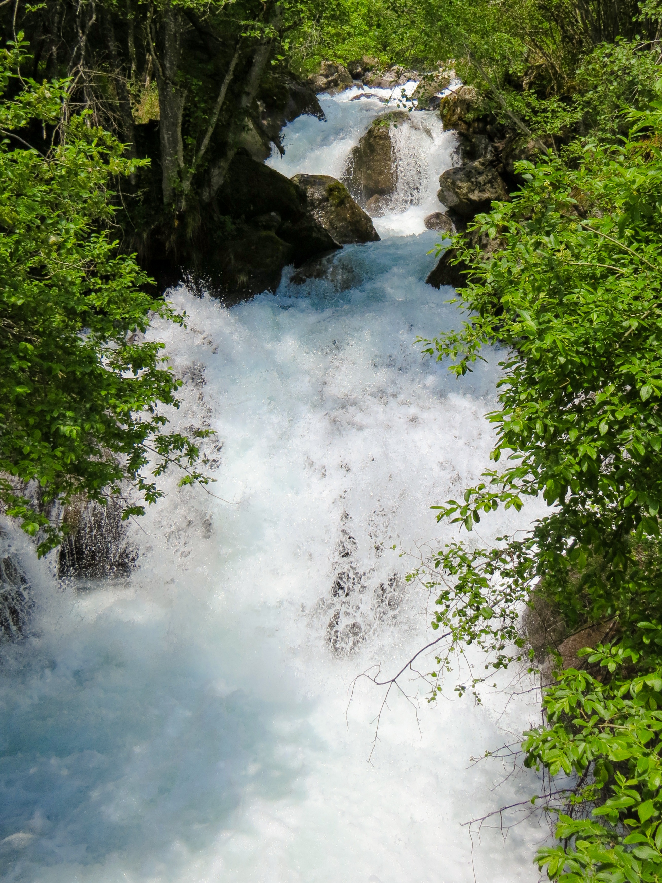 Detail Gambar Hutan Liar Gambar Air Terjun Nomer 22