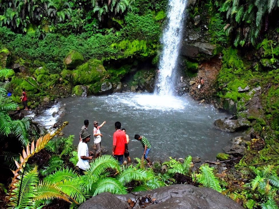 Detail Gambar Hutan Liar Gambar Air Terjun Nomer 24