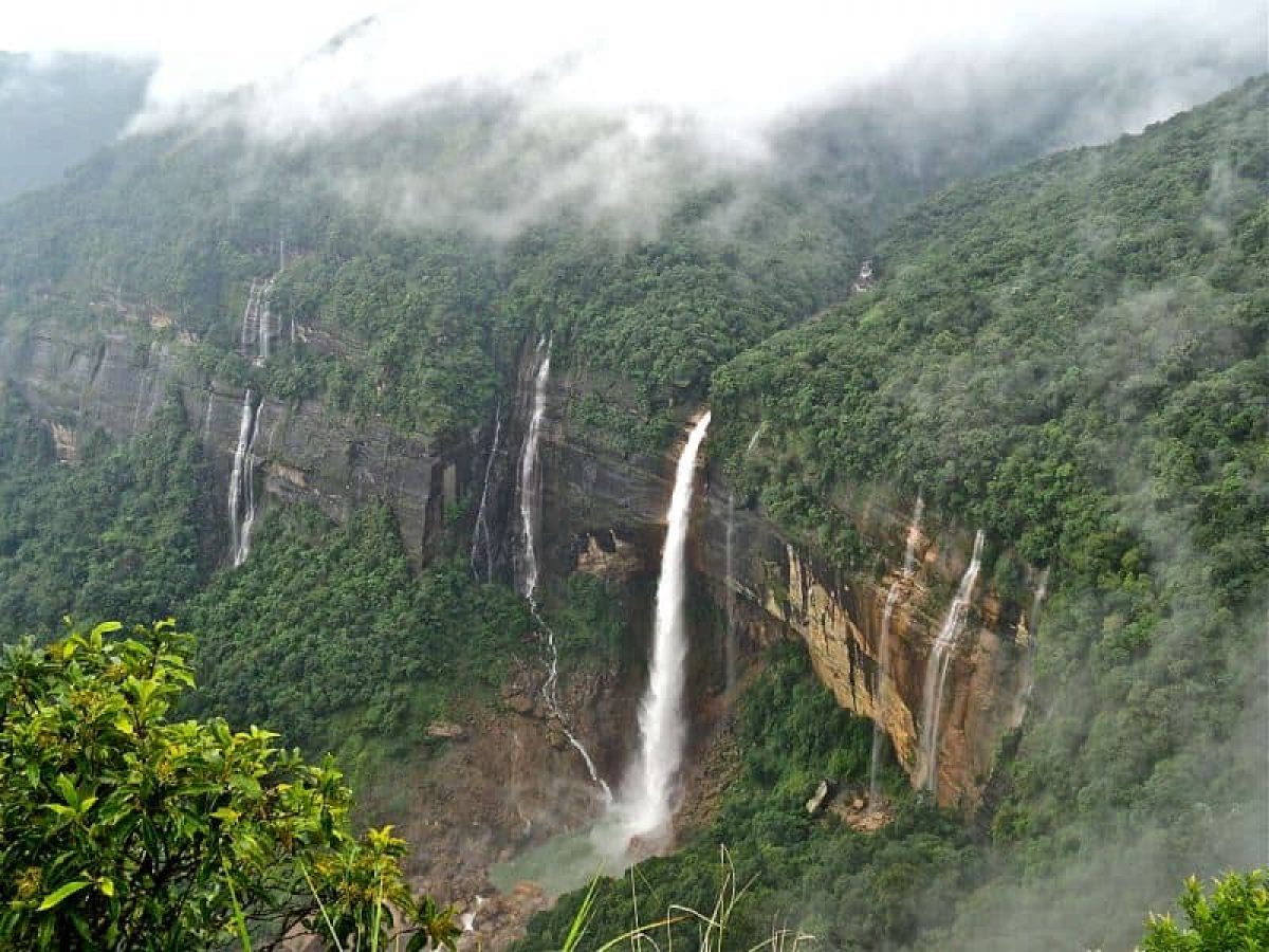 Detail Gambar Hutan Liar Gambar Air Terjun Nomer 33