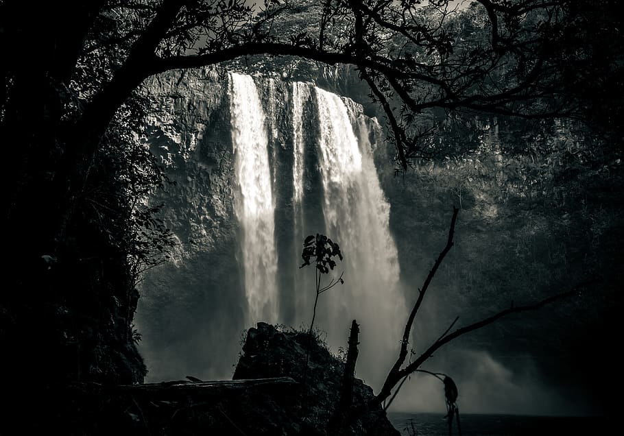 Detail Gambar Hutan Liar Gambar Air Terjun Nomer 35