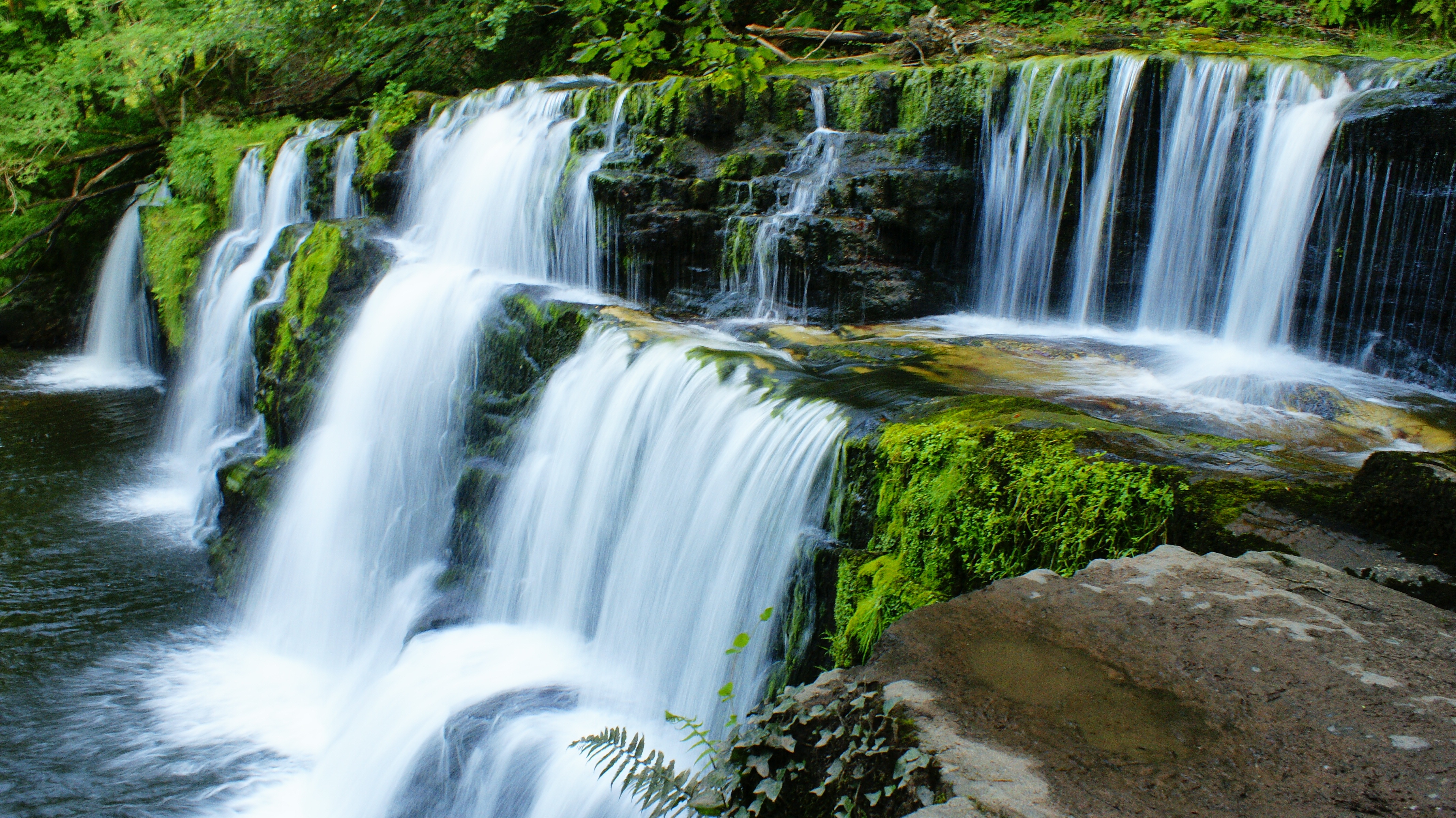 Detail Gambar Hutan Liar Gambar Air Terjun Nomer 5