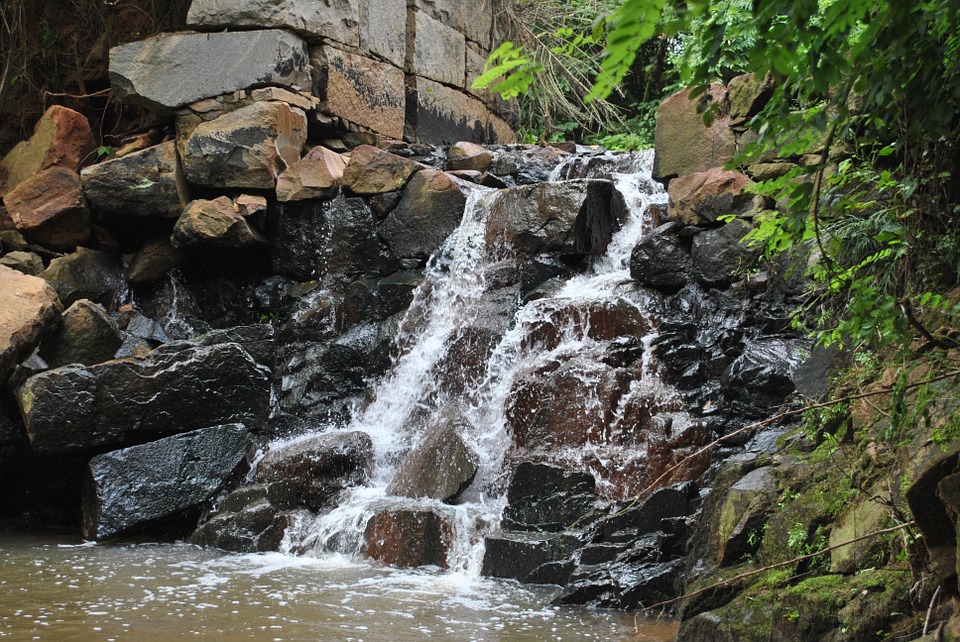 Detail Gambar Hutan Liar Gambar Air Terjun Nomer 41