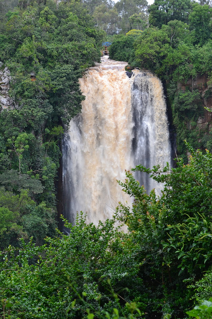 Detail Gambar Hutan Liar Gambar Air Terjun Nomer 42