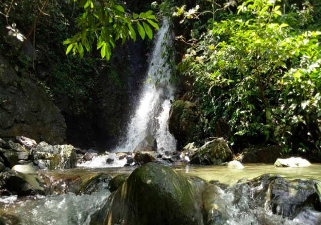 Detail Gambar Hutan Liar Gambar Air Terjun Nomer 51