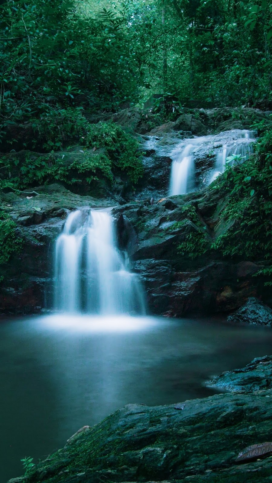 Detail Gambar Hutan Liar Gambar Air Terjun Nomer 53