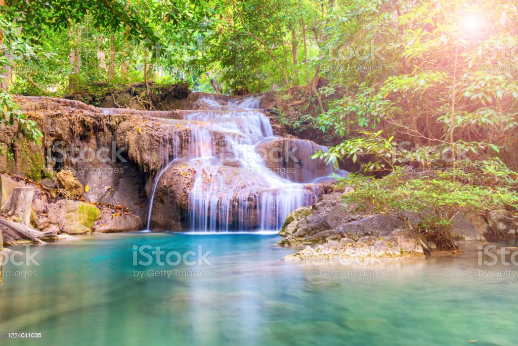 Detail Gambar Hutan Liar Gambar Air Terjun Nomer 8