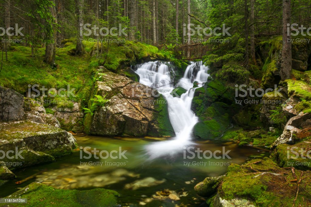 Detail Gambar Hutan Liar Gambar Air Terjun Nomer 9