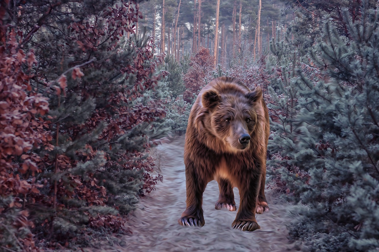 Detail Gambar Hutan Liar Gambar Beruang Nomer 29