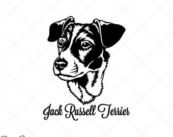 Detail Baby Jack Russell Nomer 11