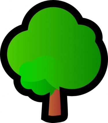 Detail Baum Bilder Nomer 28