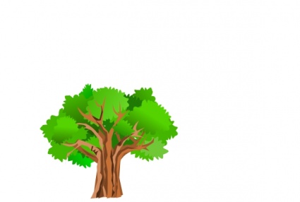 Detail Baum Bilder Nomer 9