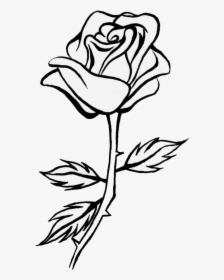 Detail Black Rose Png Nomer 18