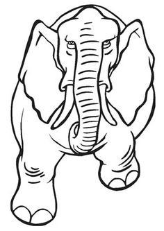 Detail Elefanten Mandala Zum Ausdrucken Nomer 19