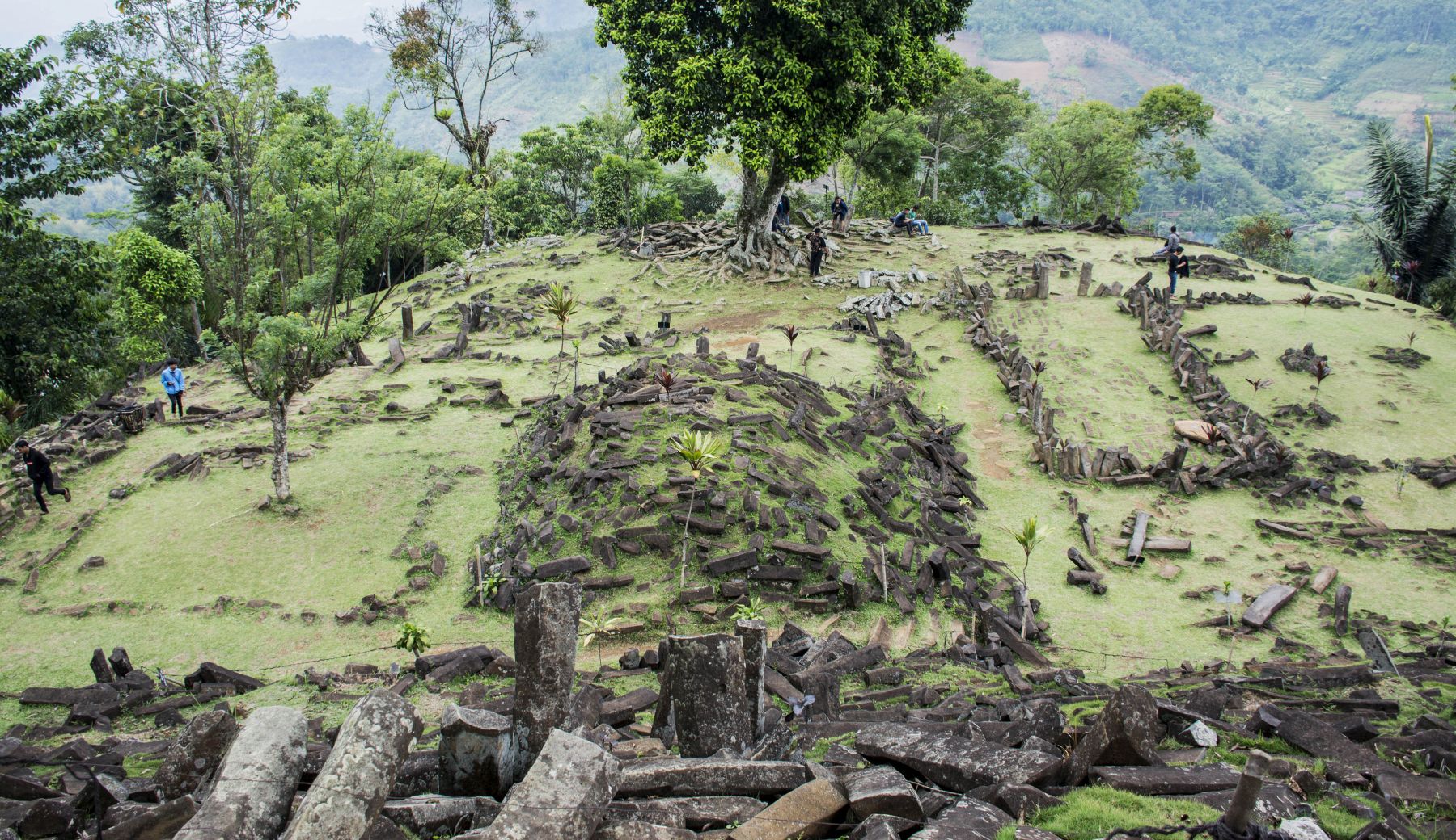 Detail Gambar Hutan Liar Padang Batu Nomer 12