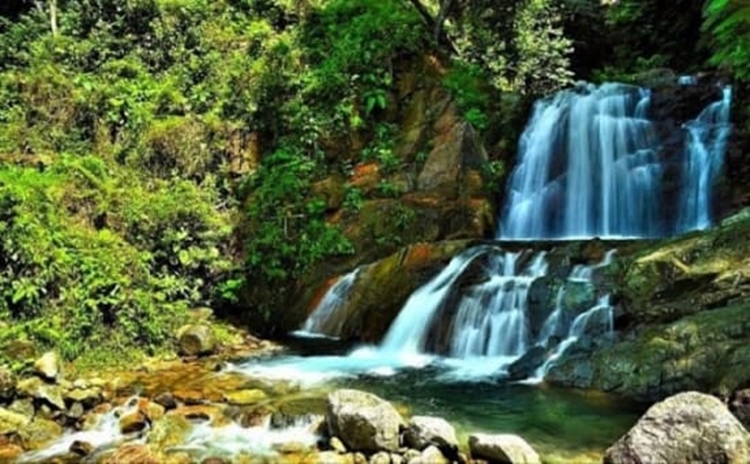 Detail Gambar Hutan Liar Padang Batu Nomer 41