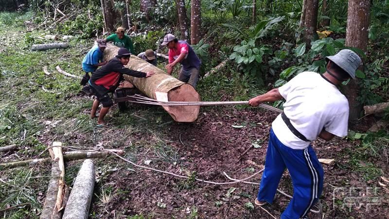 Detail Gambar Hutan Liar Padang Padang Beach Nomer 47