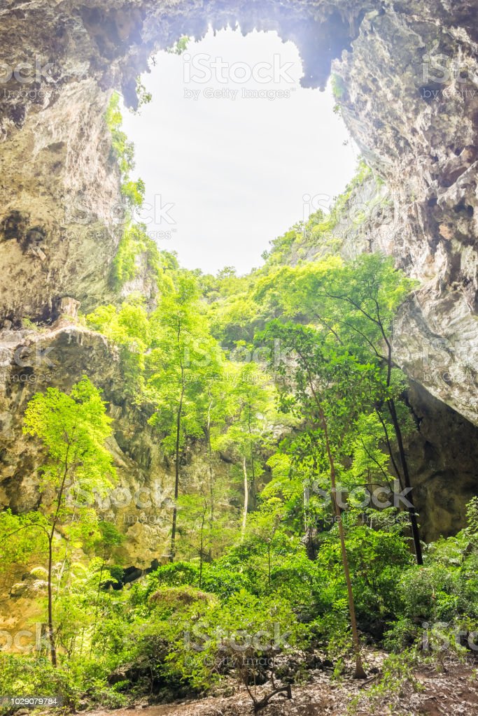 Gambar Hutan Liar Puncal Gunung Batu Dunia - KibrisPDR