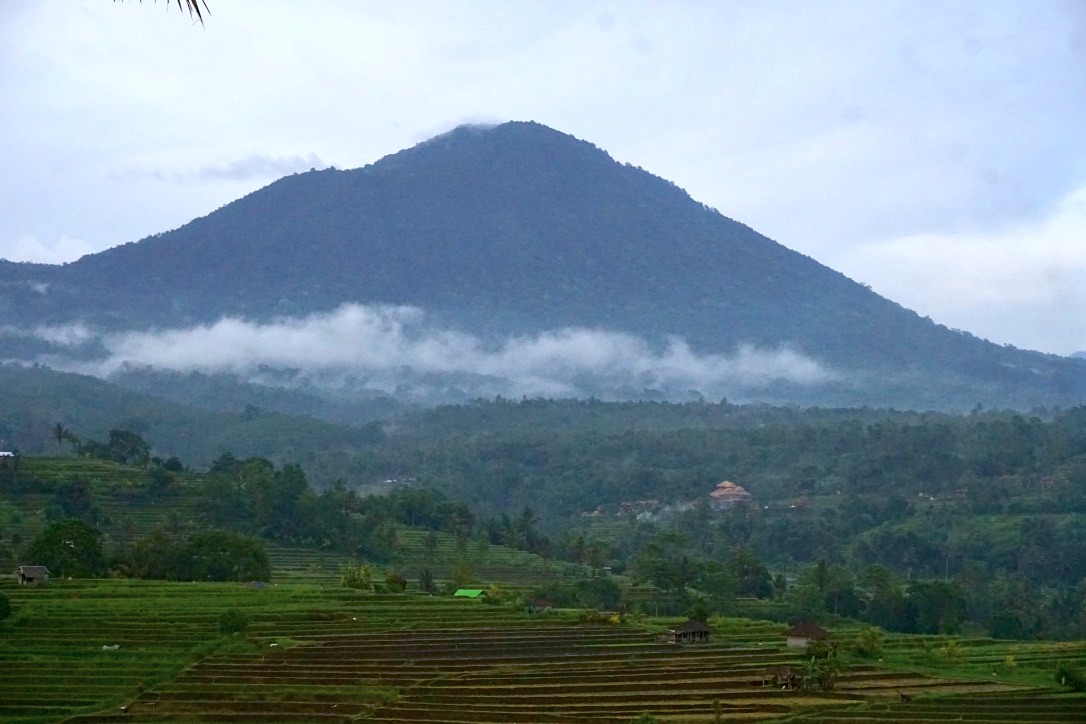 Detail Gambar Hutan Liar Puncal Gunung Batu Dunia Nomer 11
