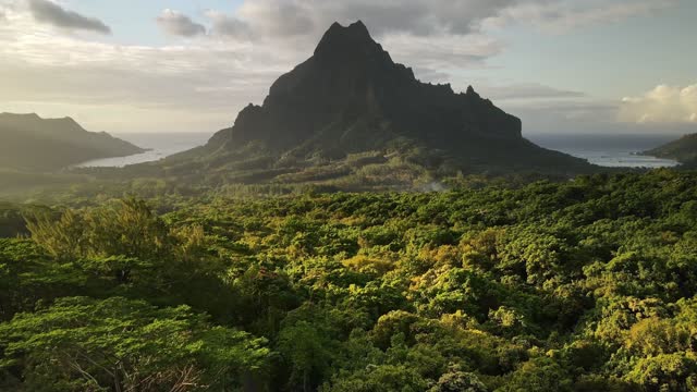 Detail Gambar Hutan Liar Puncal Gunung Batu Dunia Nomer 14