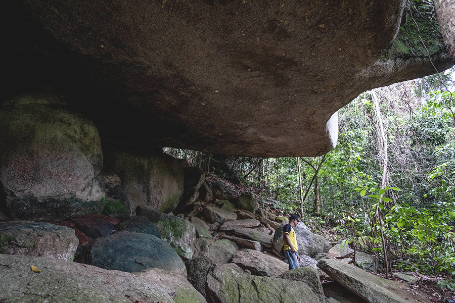 Detail Gambar Hutan Liar Puncal Gunung Batu Dunia Nomer 16
