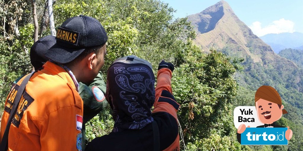 Detail Gambar Hutan Liar Puncal Gunung Batu Dunia Nomer 17