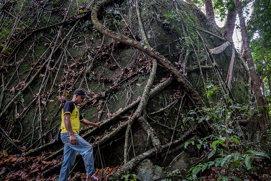 Detail Gambar Hutan Liar Puncal Gunung Batu Dunia Nomer 18