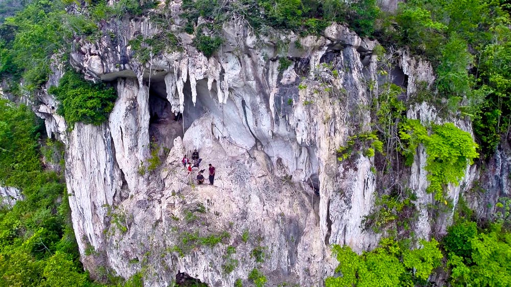 Detail Gambar Hutan Liar Puncal Gunung Batu Dunia Nomer 22