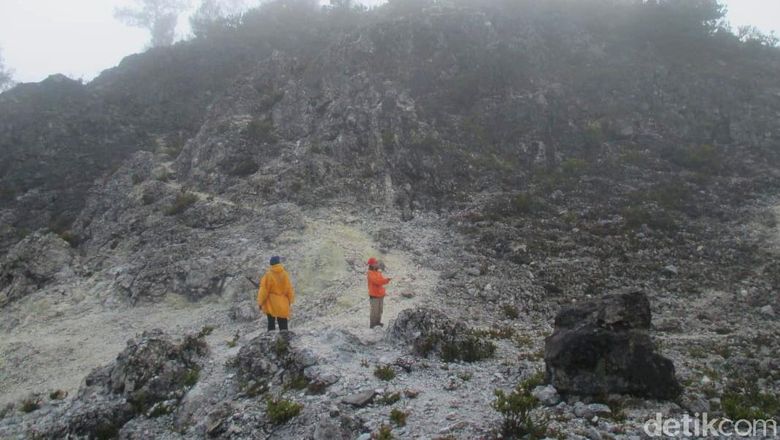 Detail Gambar Hutan Liar Puncal Gunung Batu Dunia Nomer 25