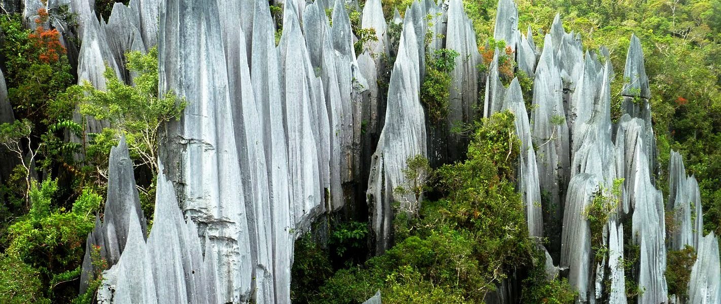 Detail Gambar Hutan Liar Puncal Gunung Batu Dunia Nomer 31