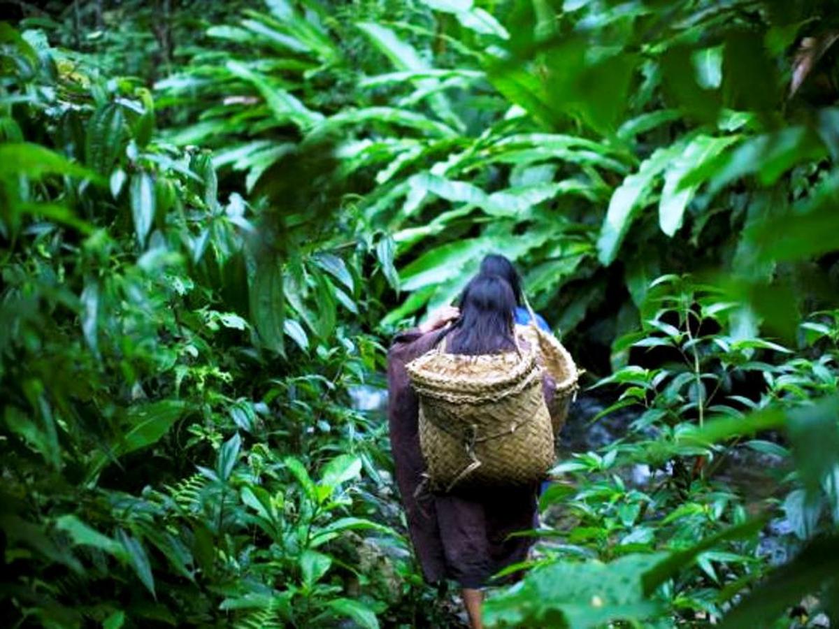 Detail Gambar Hutan Liar Puncal Gunung Batu Dunia Nomer 33