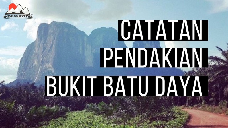 Detail Gambar Hutan Liar Puncal Gunung Batu Dunia Nomer 36
