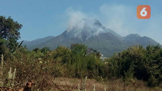 Detail Gambar Hutan Liar Puncal Gunung Batu Dunia Nomer 44