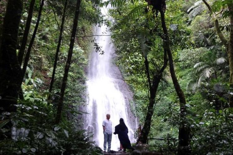 Detail Gambar Hutan Liar Puncal Gunung Batu Dunia Nomer 46