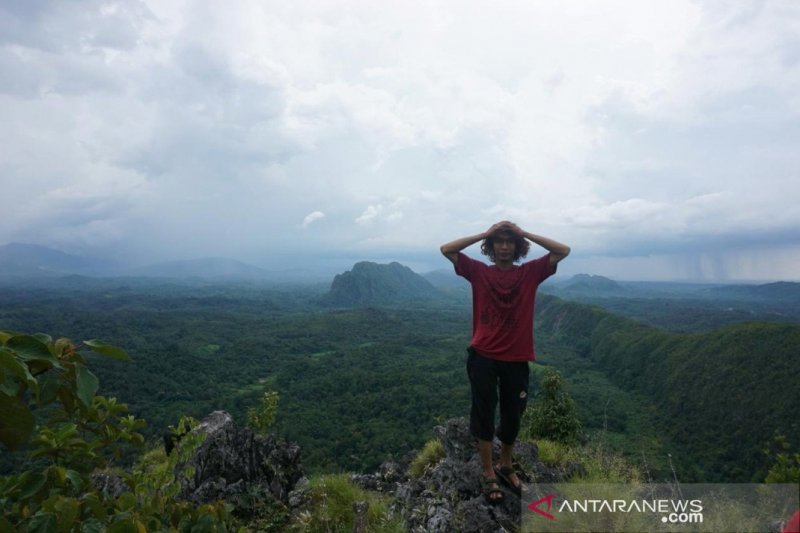 Detail Gambar Hutan Liar Puncal Gunung Batu Dunia Nomer 48