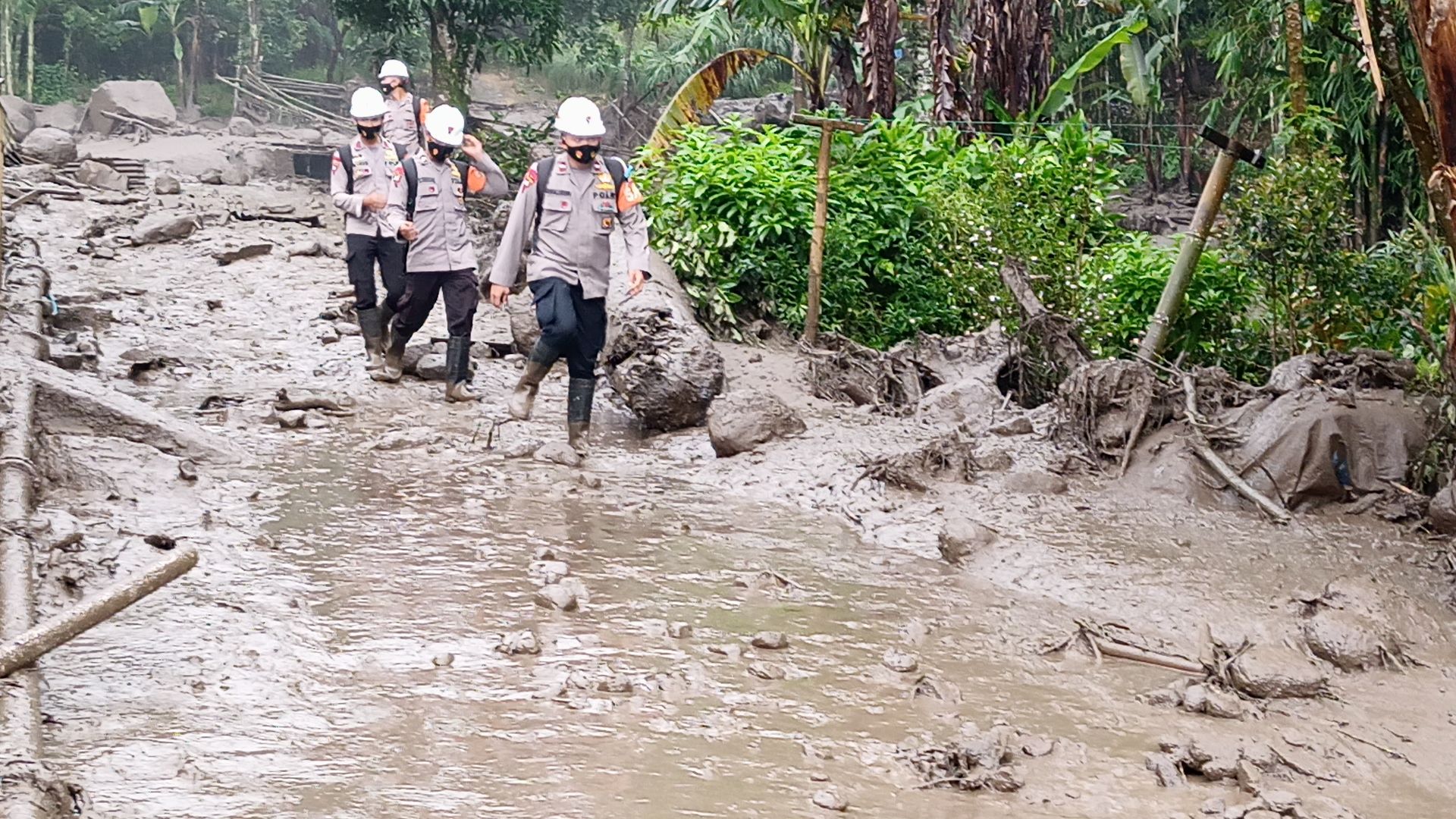 Detail Gambar Hutan Liar Puncal Gunung Batu Dunia Nomer 50