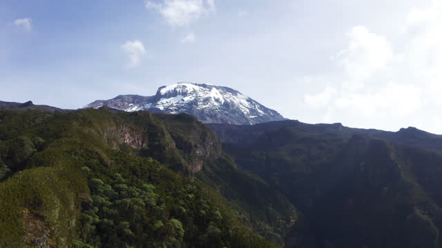 Detail Gambar Hutan Liar Puncal Gunung Batu Dunia Nomer 7