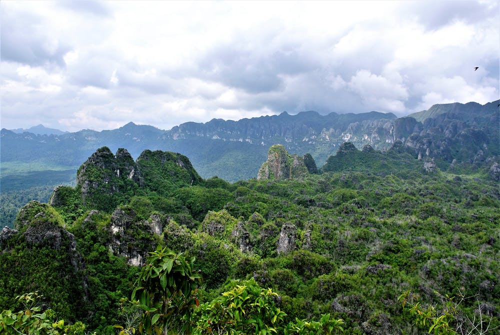 Detail Gambar Hutan Liar Puncal Gunung Batu Dunia Nomer 10