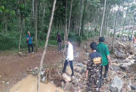 Detail Gambar Hutan Liar Tanah Kering Nomer 14