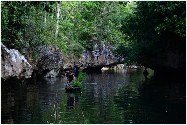 Detail Gambar Hutan Liar Tumbukan Batu Nomer 14