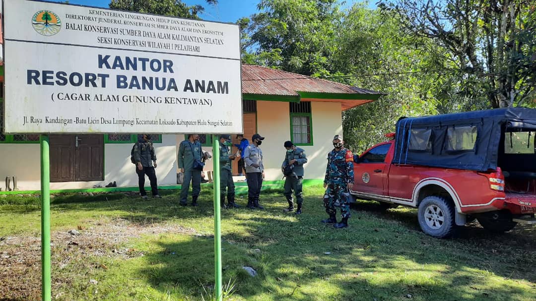 Detail Gambar Hutan Liar Tumbukan Batu Nomer 36