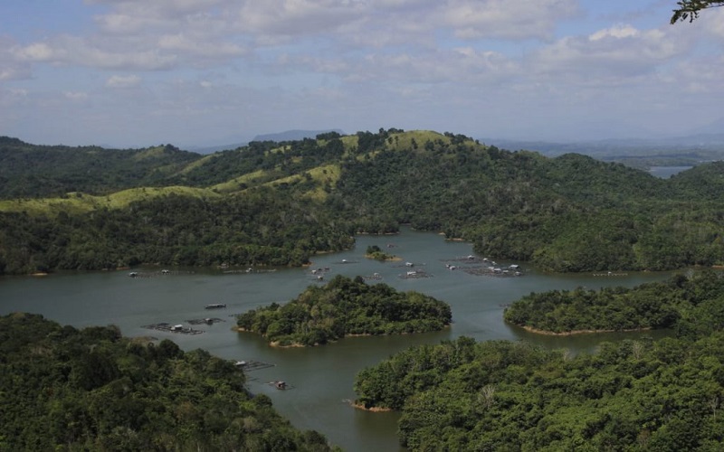 Detail Gambar Hutan Liar Tumbukan Batu Nomer 40