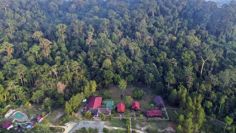 Detail Gambar Hutan Lindung Nomer 21